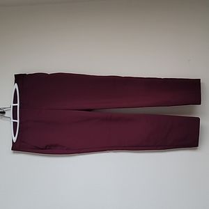 Womens Express Columnist Dress Pants